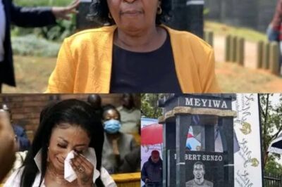 Demands for Truth: Senzo Meyiwa’s Mother Calls for Clarity on His Murder