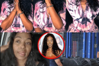 Ananda Lewis’s Final Message: Former MTV VJ and Talk Show Host Shares Emotional Goodbye Before Losing Battle With Cancer😢